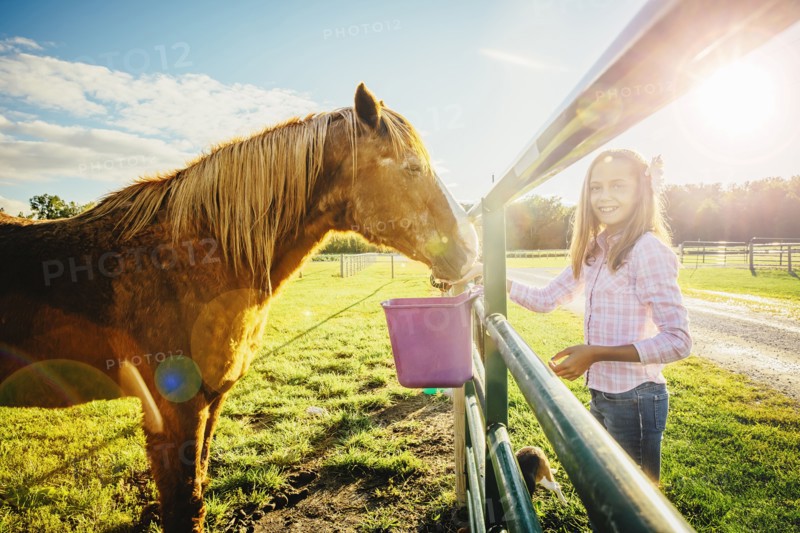 Caucasian girl feeding horse on ranch