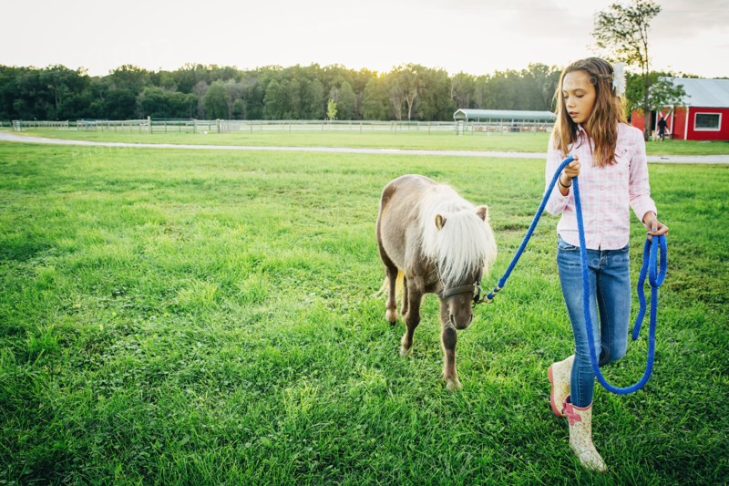 Caucasian girl walking miniature horse on farm