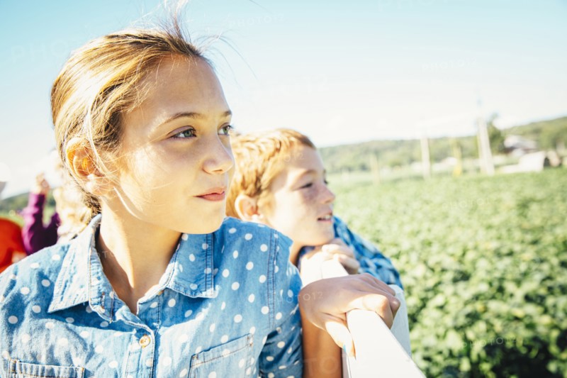 Close up of Caucasian brother and sister admiring farm