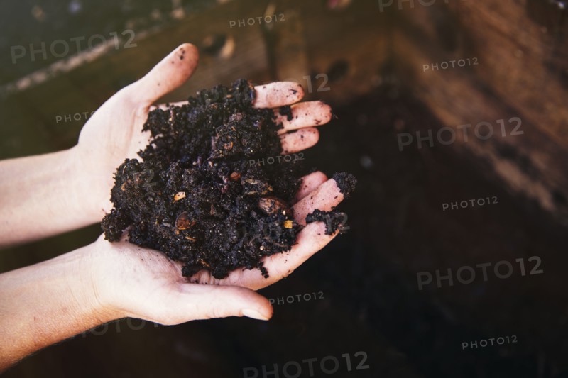 Close up of hands holding wet dirt