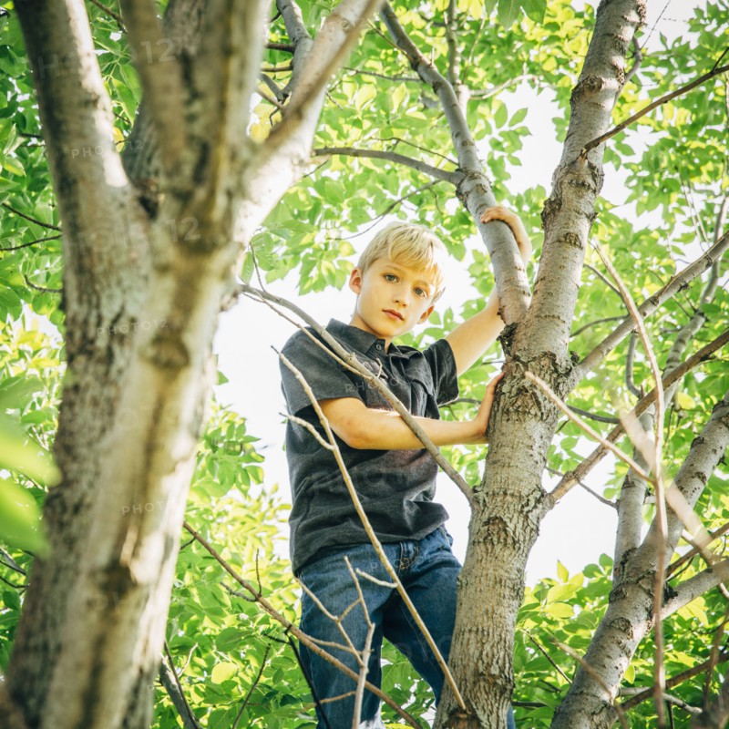 Low angle view of Caucasian boy climbing tree