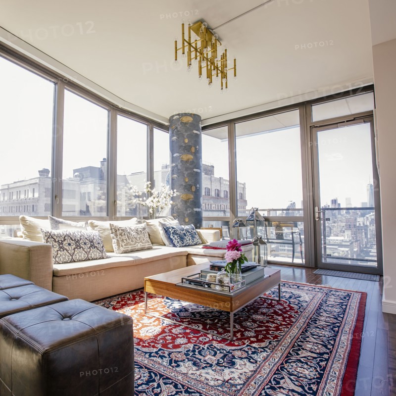 Sofa and rug in urban apartment living room