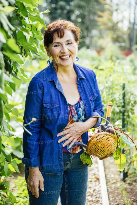 Caucasian woman picking vegetables in garden