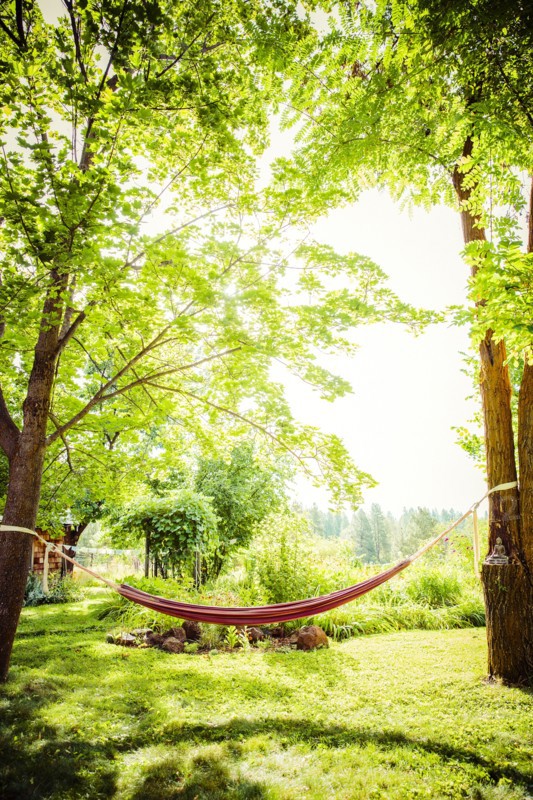 Hammock between trees in backyard
