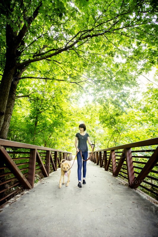 Caucasian woman walking dog on bridge