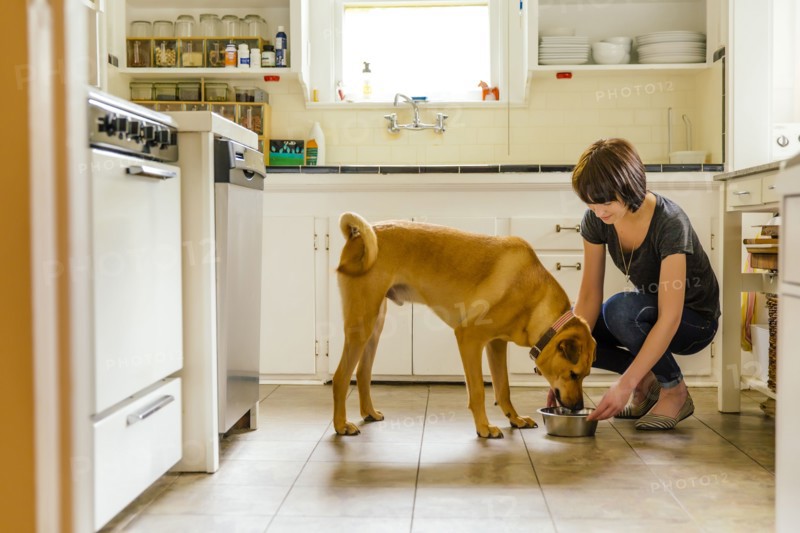 Caucasian woman feeding dog in kitchen