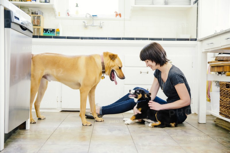 Caucasian woman petting dogs in kitchen