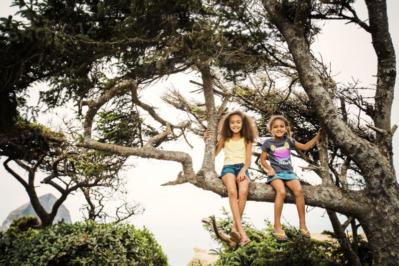 Mixed race sisters sitting in tree