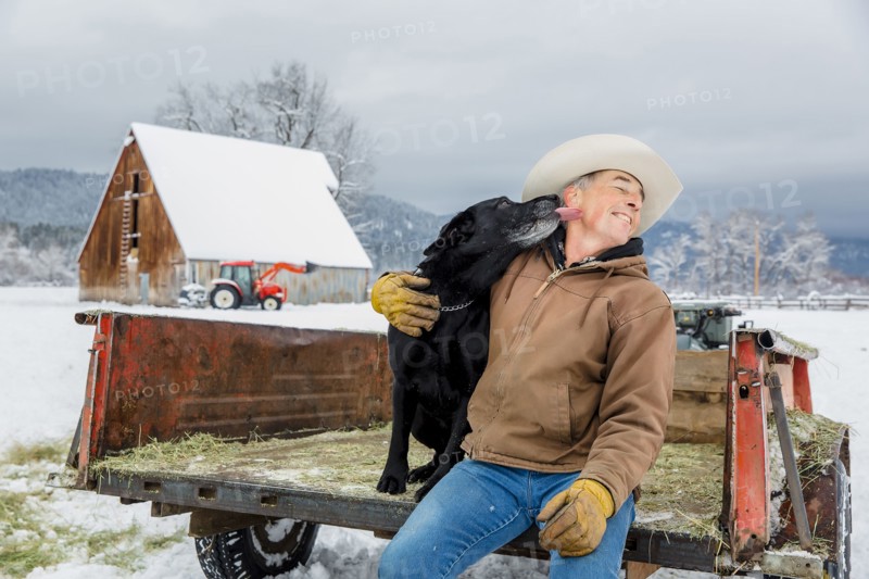 Dog licking face of Caucasian farmer in snowy truck