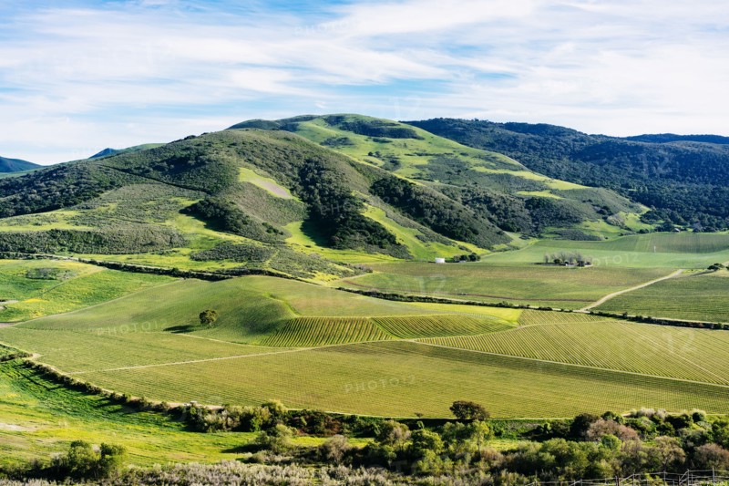 Scenic view of green rolling landscape