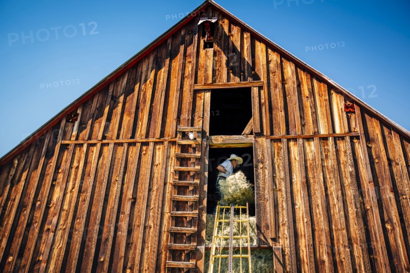 Caucasian farmer in barn lifting bale of hay