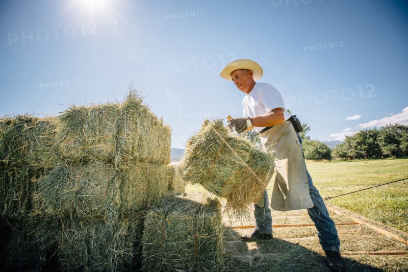 Caucasian farmer lifting bale of hay