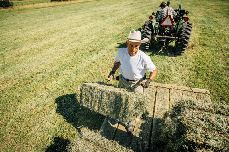 Caucasian farmer lifting bale of hay