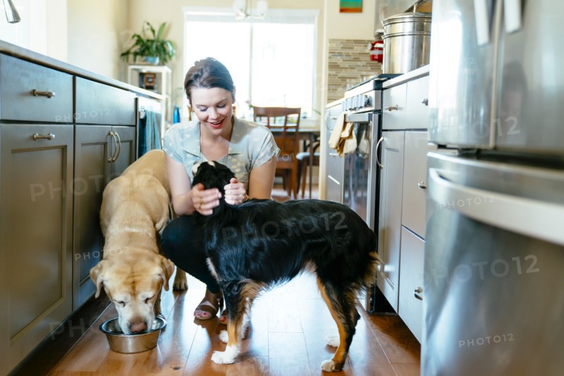 Woman feeding and petting dogs in domestic kitchen