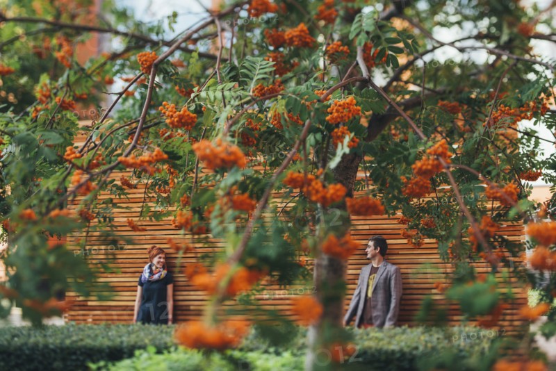 Smiling Caucasian couple leaning on wooden wall behind tree