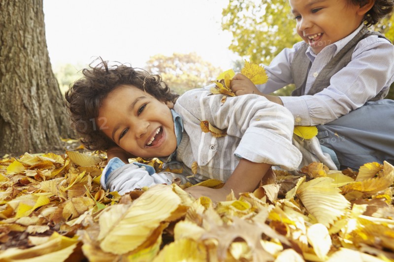 Mixed race boys playing in yellow autumn leaves