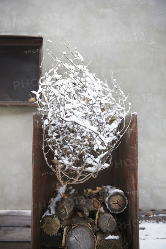 Snowy tree branch in firewood pile