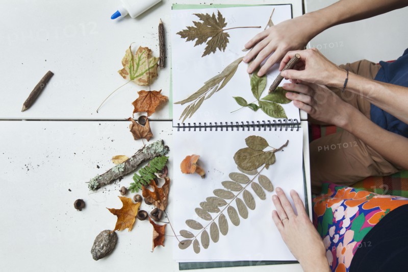 Hands of Caucasian mother and son with nature scrapbook outdoors