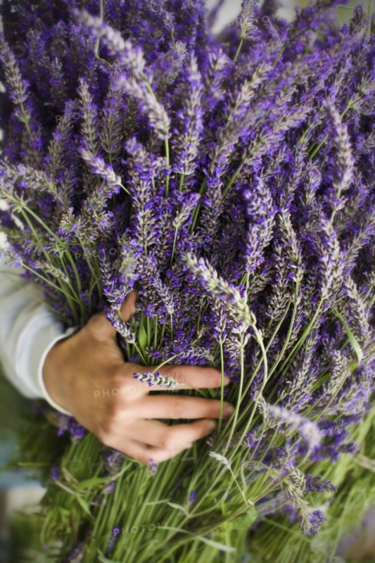 Asian woman holding bunch of lavender flowers