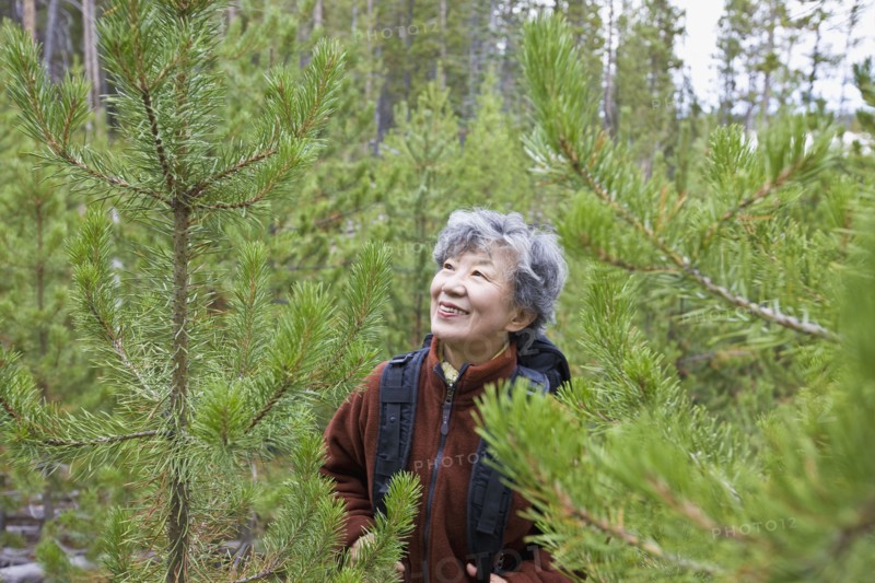 Senior Japanese woman  hiking in forest