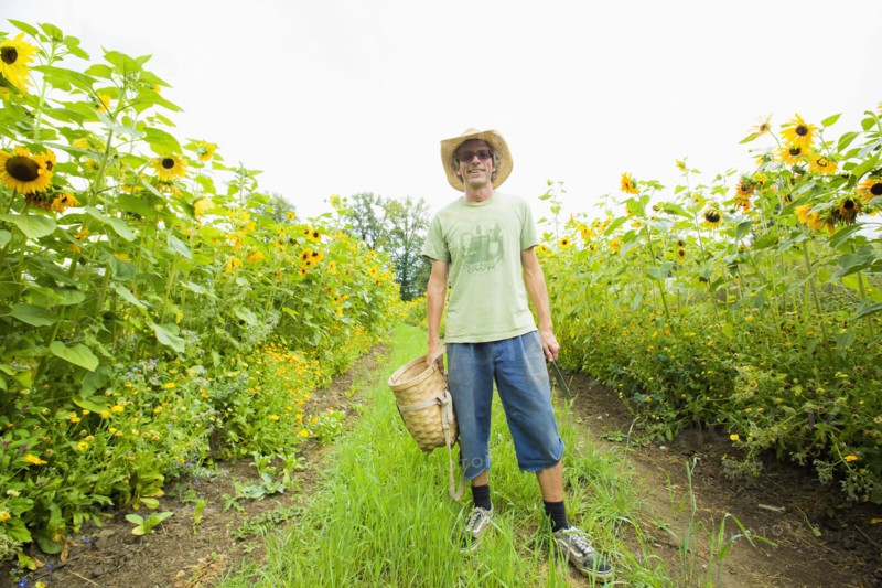 Caucasian farmer standing in rows of sunflowers