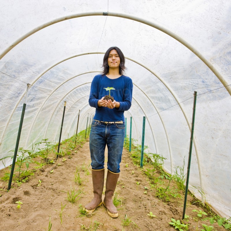 Japanese gardener holding potted plant in greenhouse