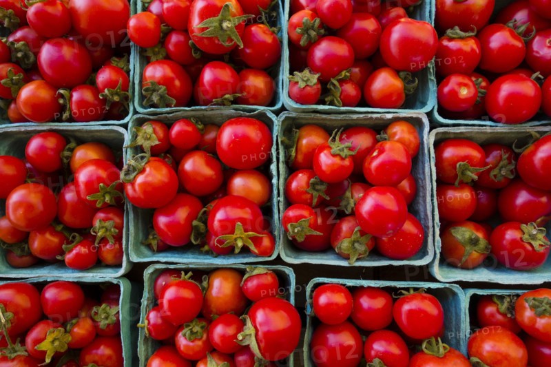 Containers of tomatoes