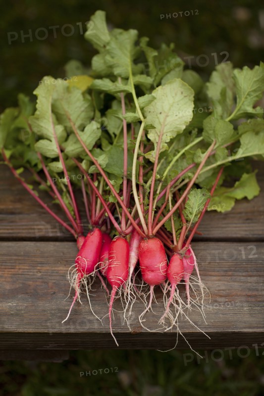 Close up of fresh vegetables