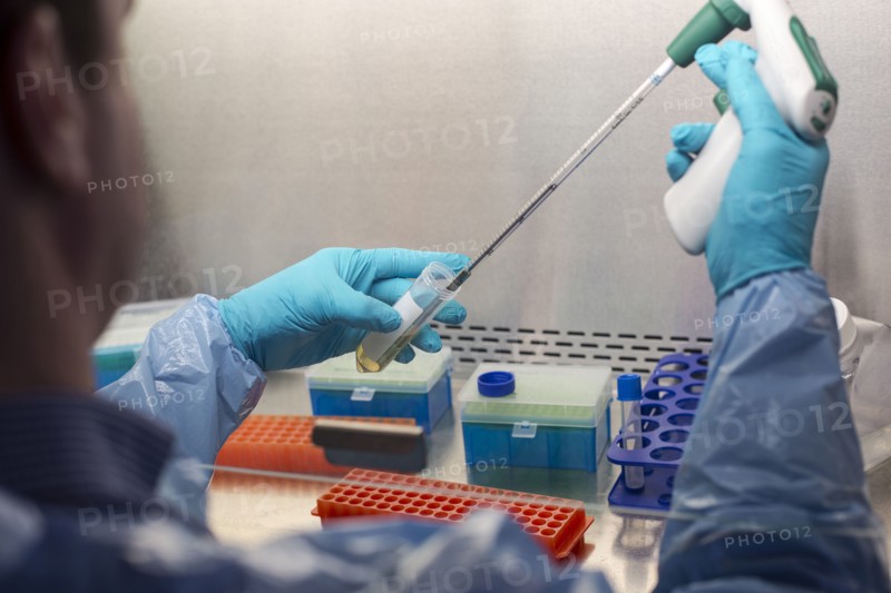 Mixed race scientist pipetting solution into test tubes in lab