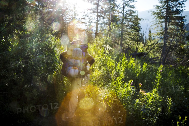 Hiker walking on sunny forest trail