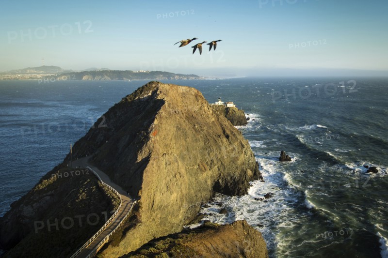 High angle view of geese flying over Marin Headlands