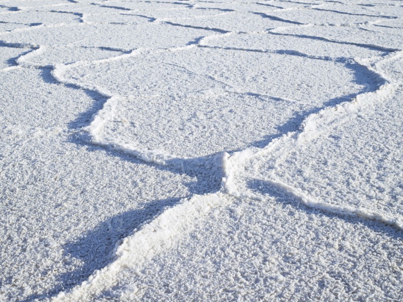 Close up of piles in salt flats
