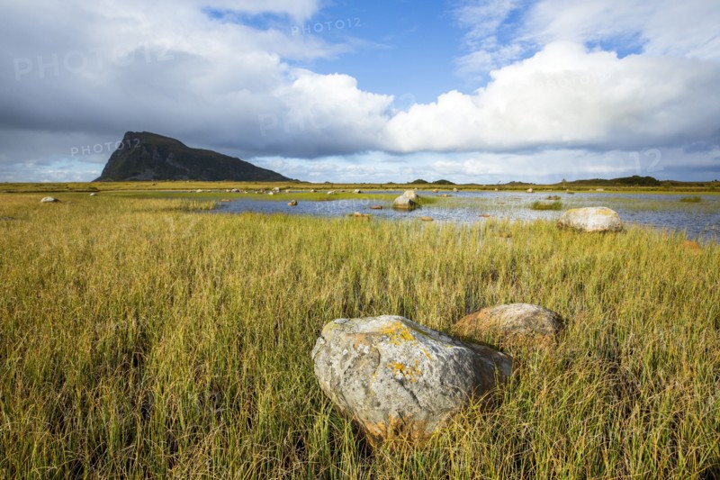 Rock formations in grassy coastline under blue sky