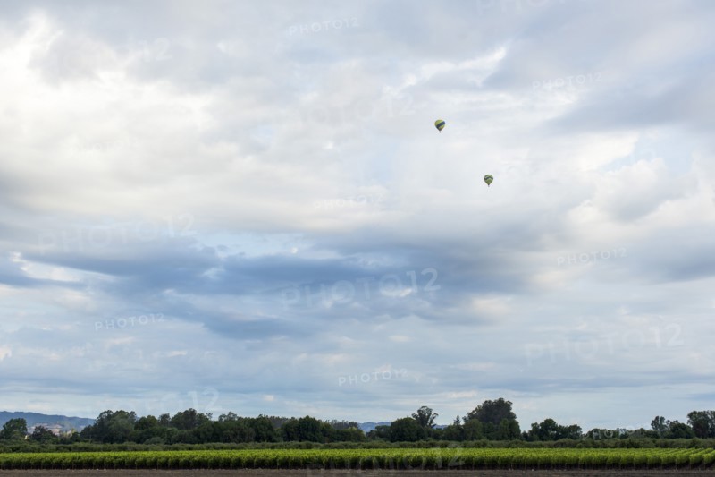 Hot air balloons flying over rural landscape
