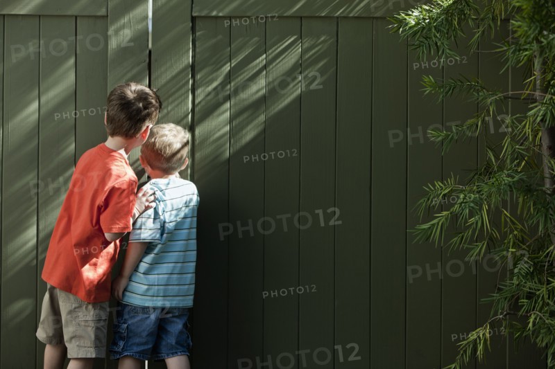 Caucasian brothers peering out fence