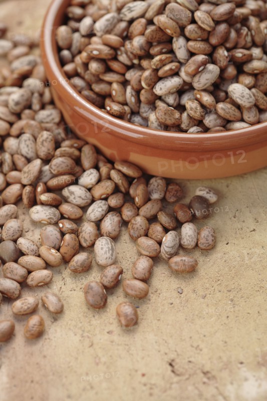 Pinto beans