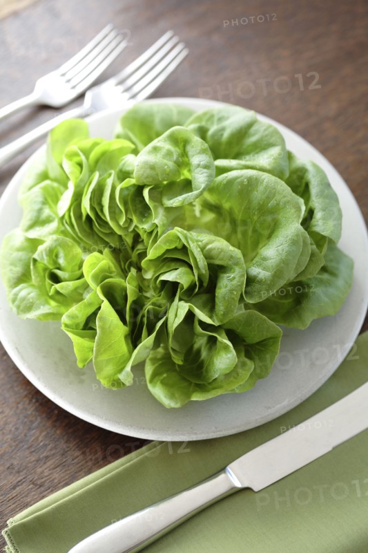 Fresh lettuce on plate