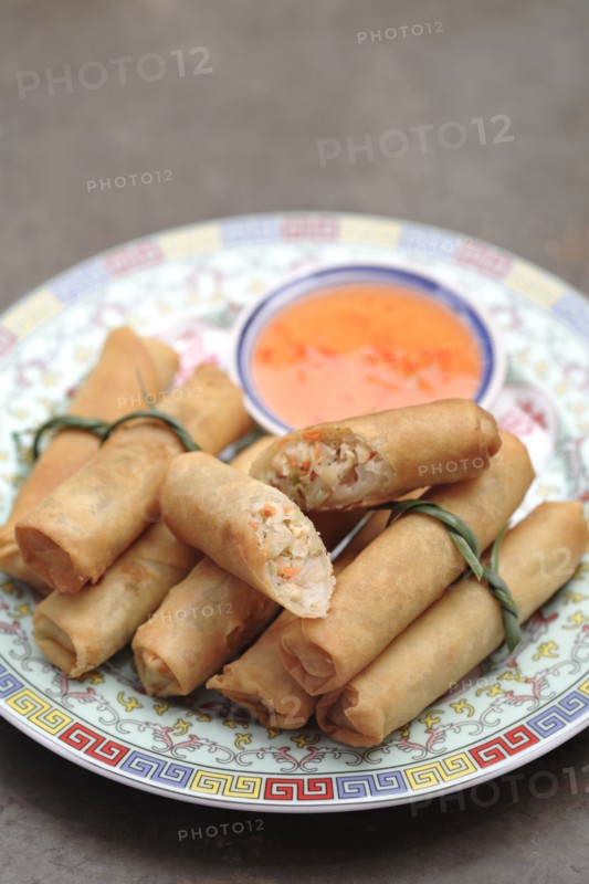 Asian spring rolls on plate