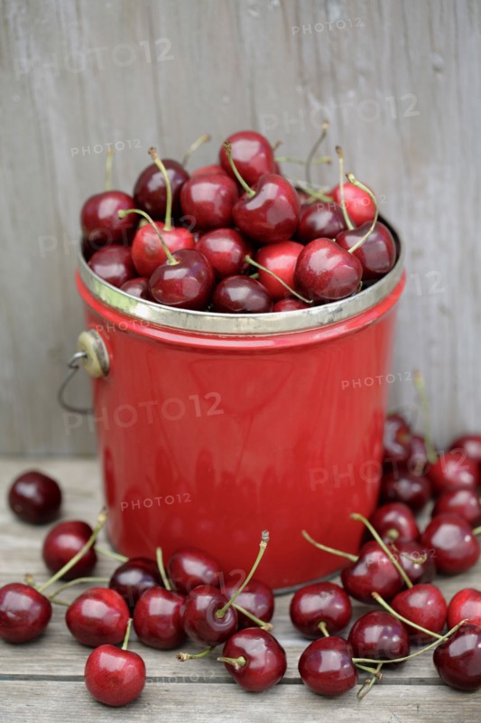 Bing cherries in bucket