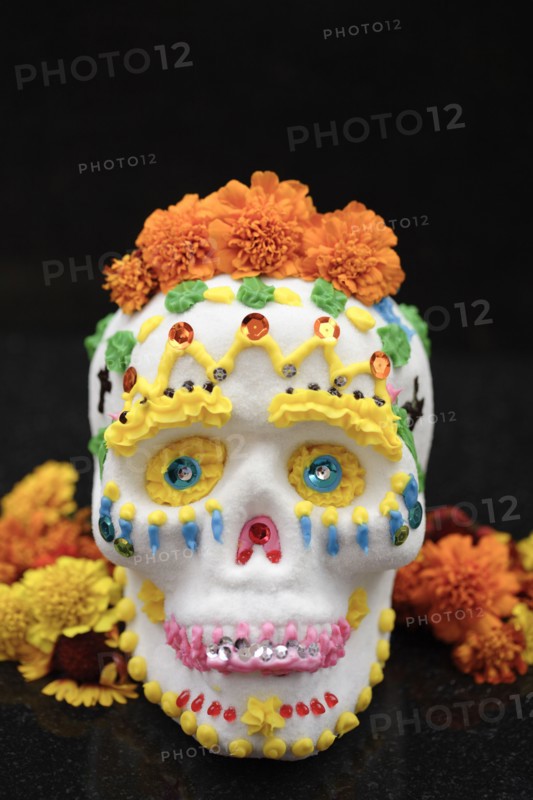 Decorated skull for Day of the Dead celebration