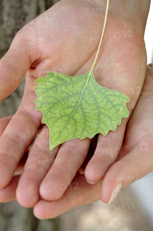 Caucasian woman holding small green leaf
