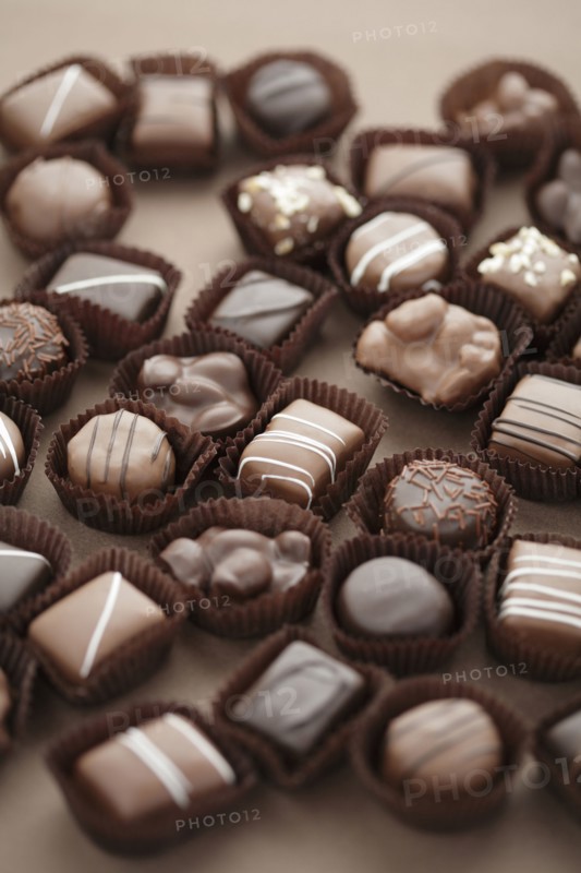 Close up of chocolate truffles