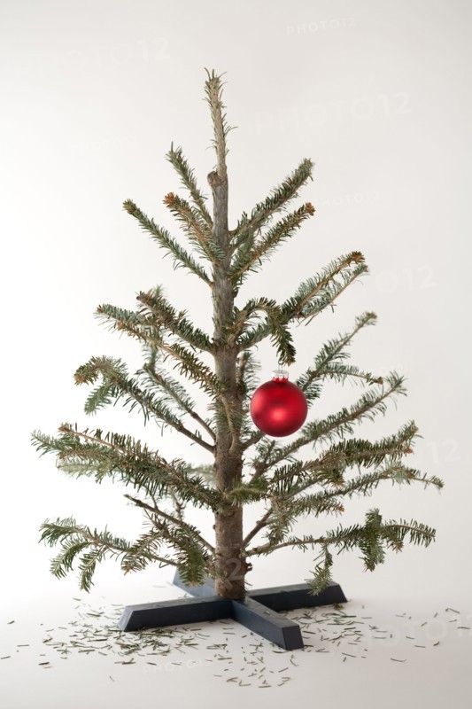 Small Christmas tree with single ornament