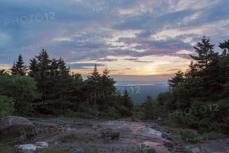 Sunrise over treetops on remote hillside