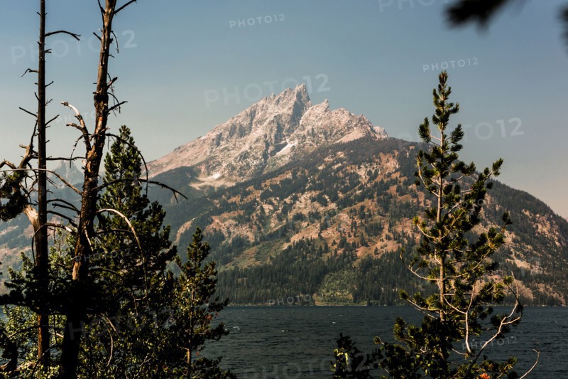 Treetops near lake and remote mountain