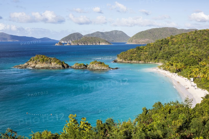 Lush hillsides near tropical ocean