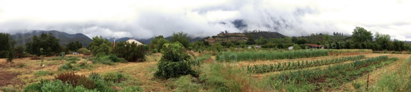 Panoramic view of farm fields in rural landscape