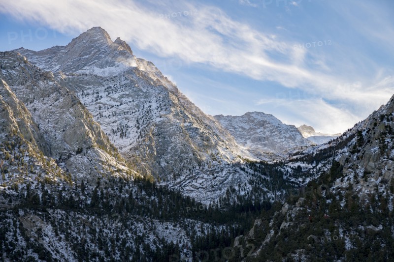 Trees near mountains