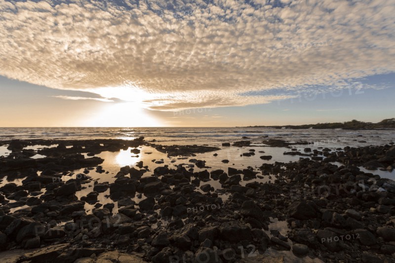 Rocks on ocean beach at sunset