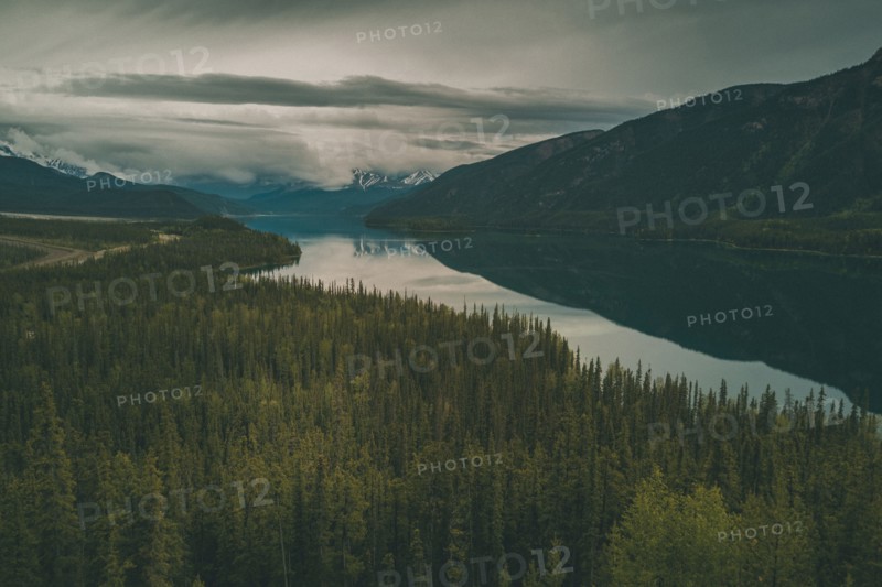 Scenic view of trees and river